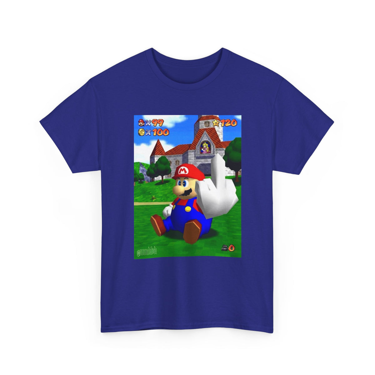 Mario Giving The Finger At Peach's Castle