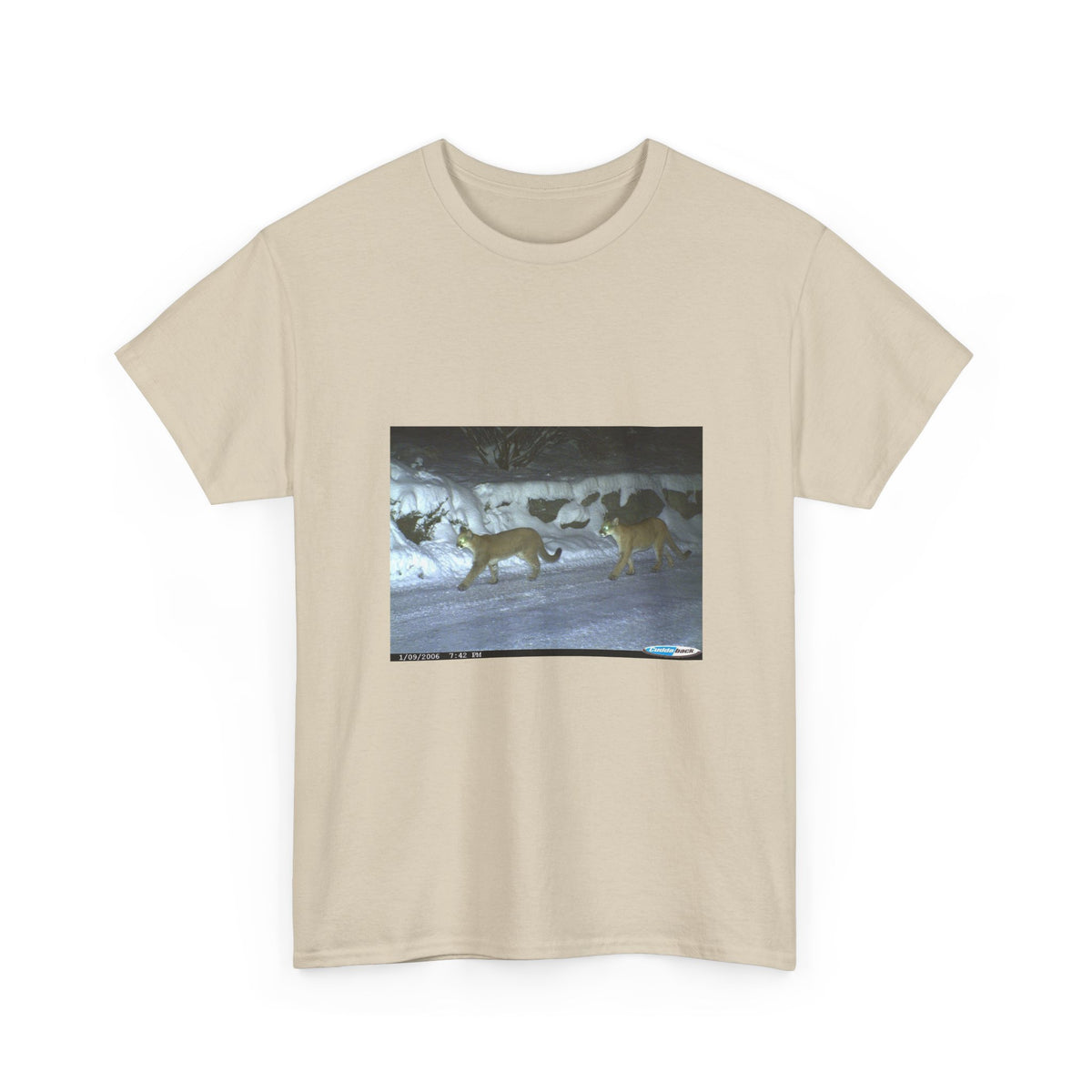 Neon Echo Graphic Tee
