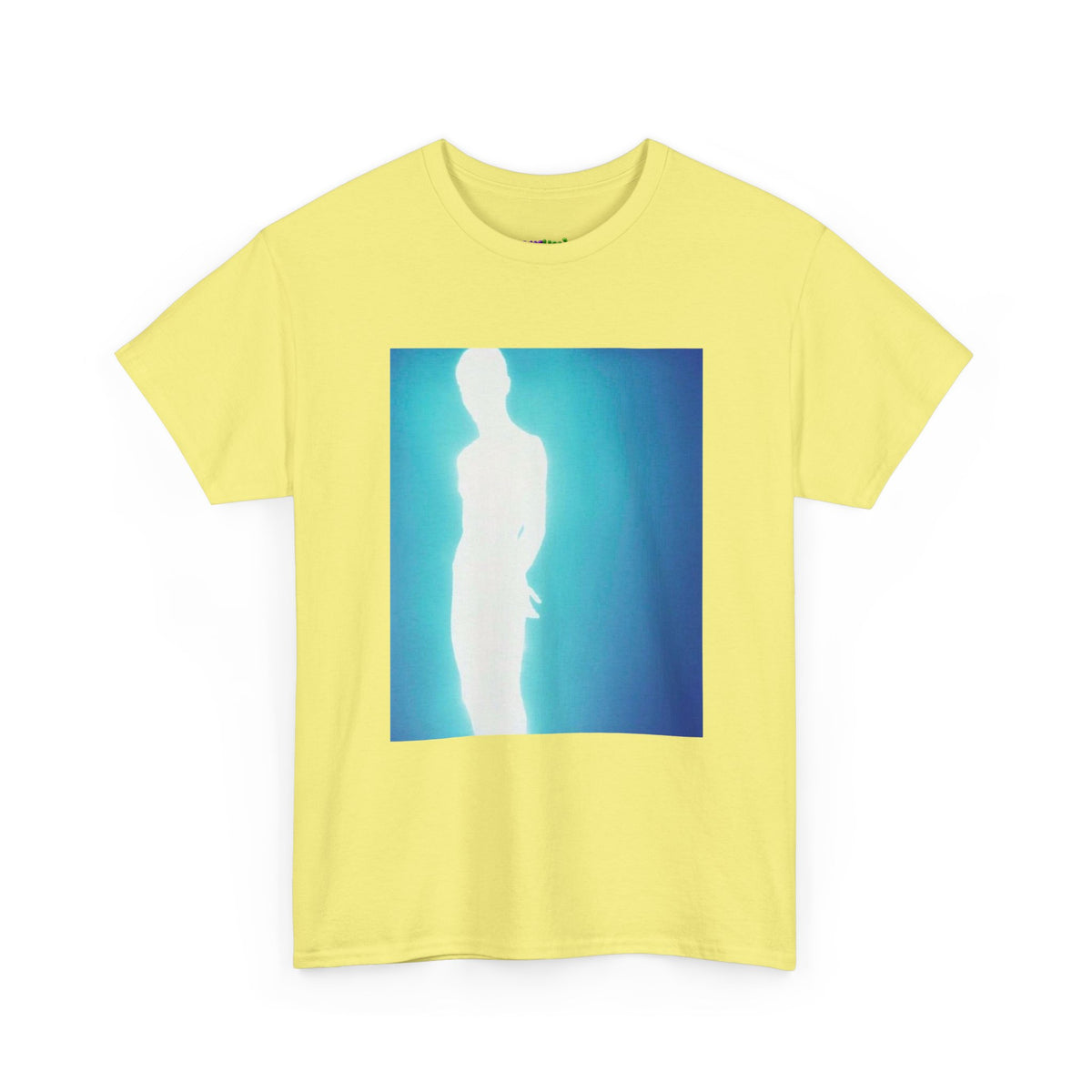 Secret Stash Graphic Tee