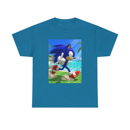 Sonic Flips Off The Beach