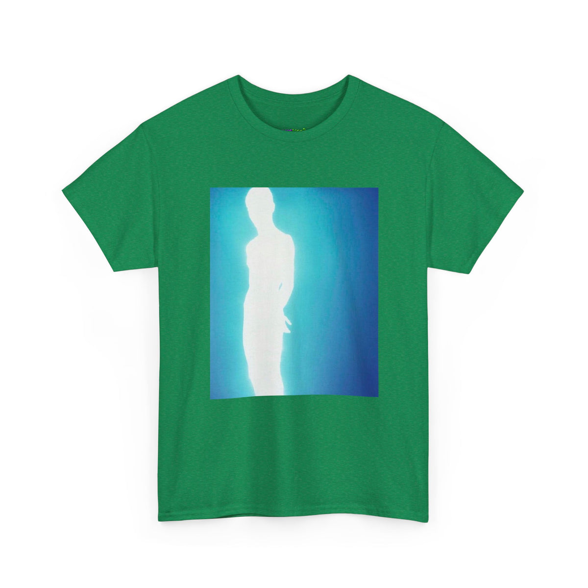 Secret Stash Graphic Tee