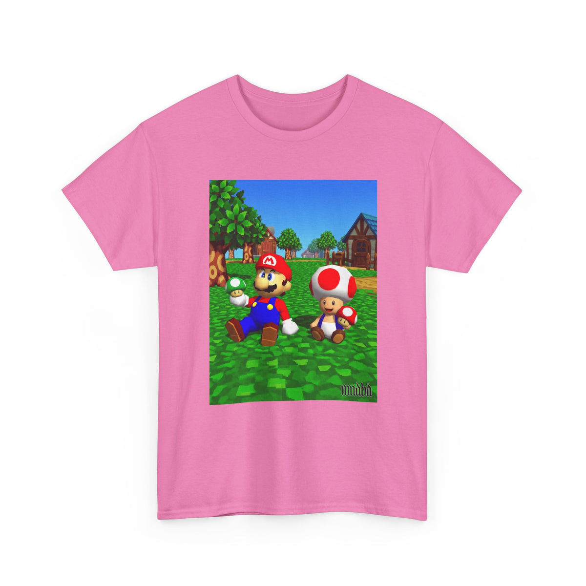 Mario And Toad Chillin' With Shrooms
