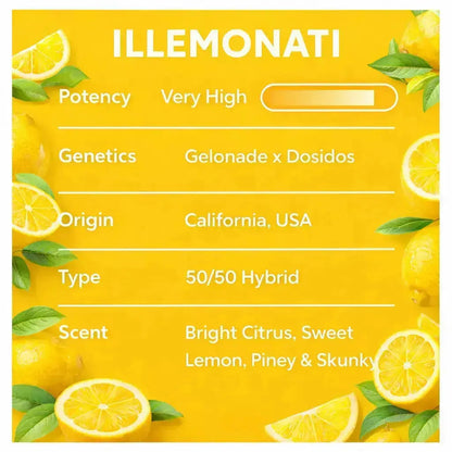 Illemonati THCa Flower