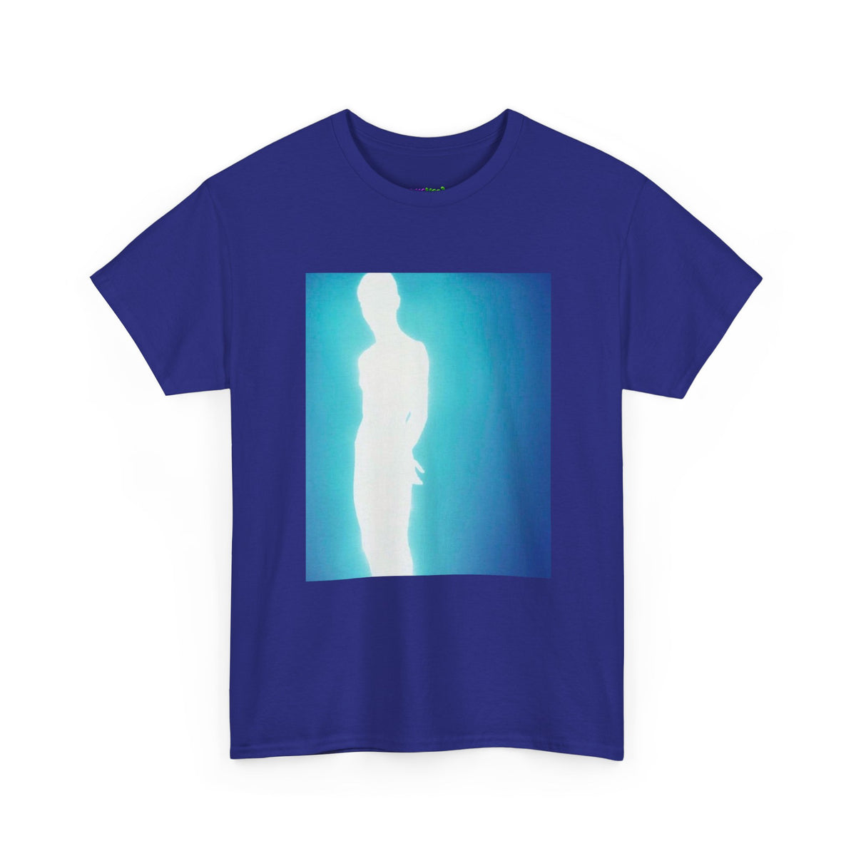 Secret Stash Graphic Tee