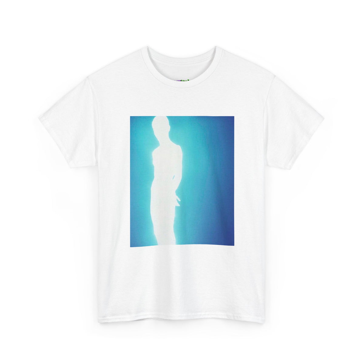 Secret Stash Graphic Tee