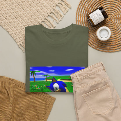 Sonic On A Trippy Green Hill Zone