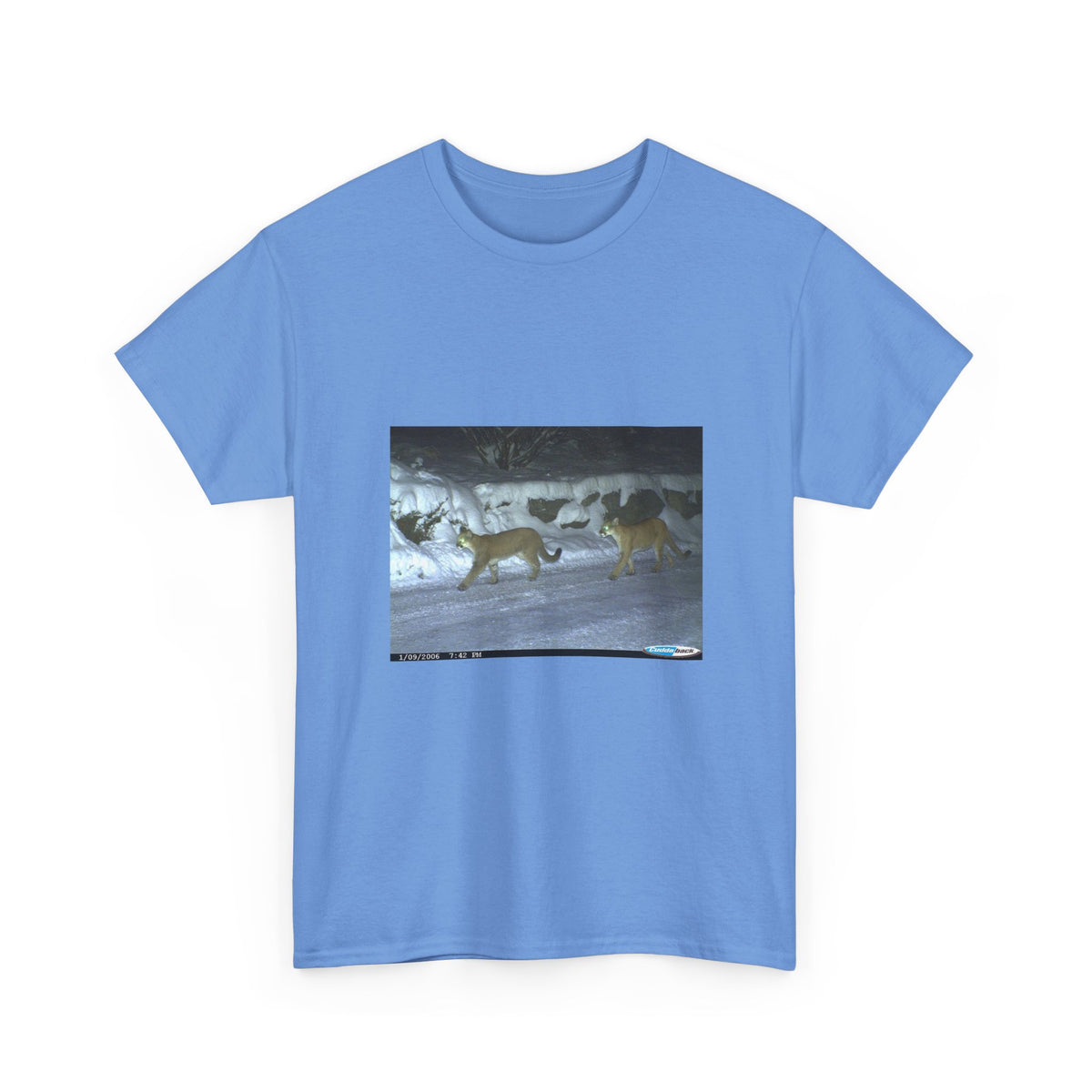 Neon Echo Graphic Tee