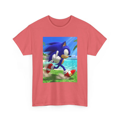 Sonic Flips Off The Beach