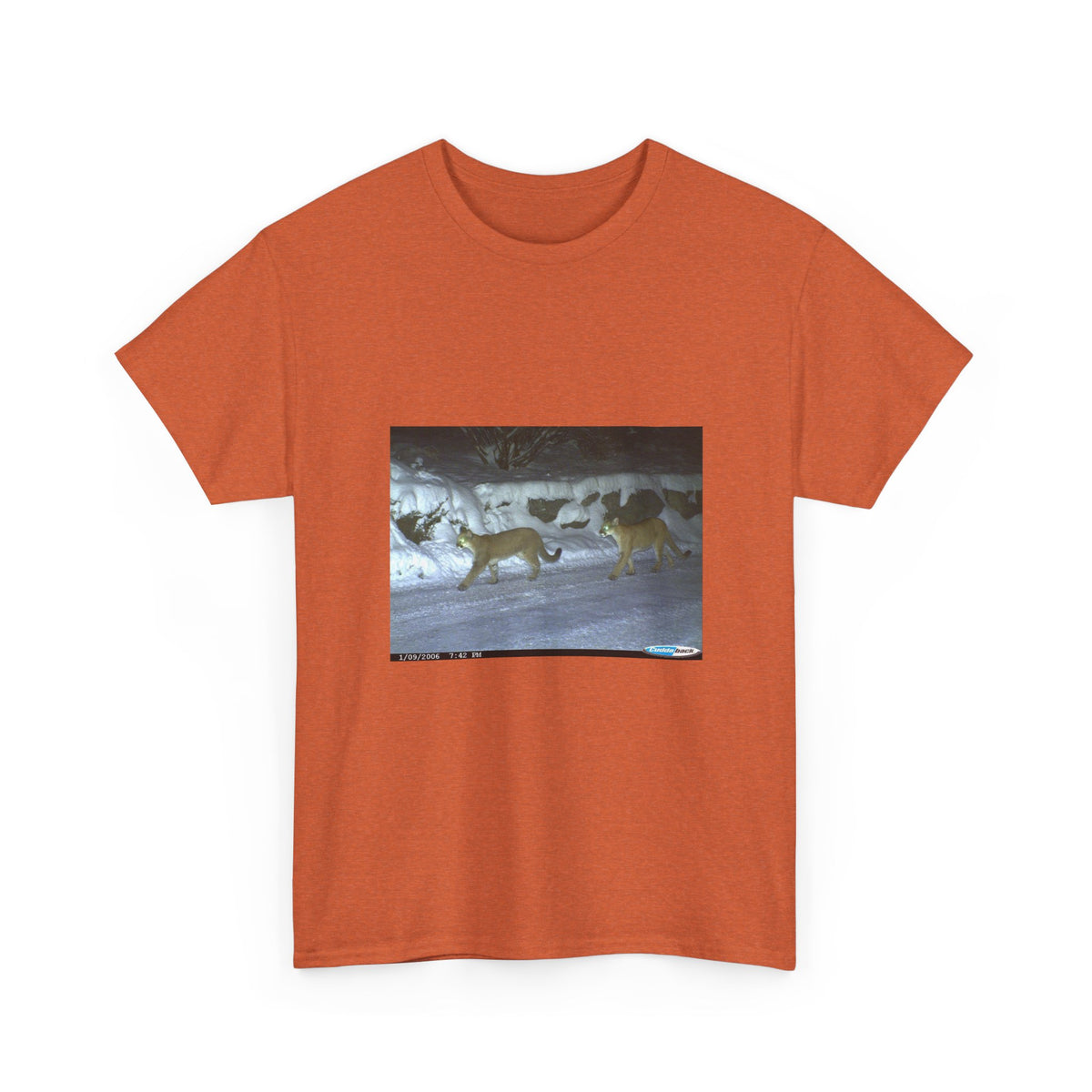 Neon Echo Graphic Tee