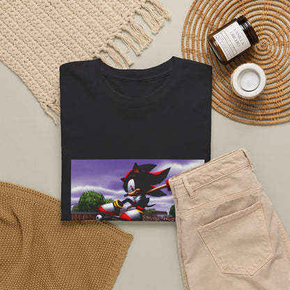 Shadow The Hedgehog Shredding A Skatepark