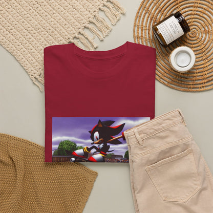 Shadow The Hedgehog Shredding A Skatepark