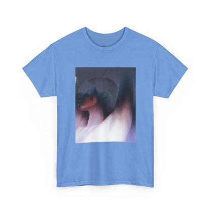 Empty Frame Graphic Tee
