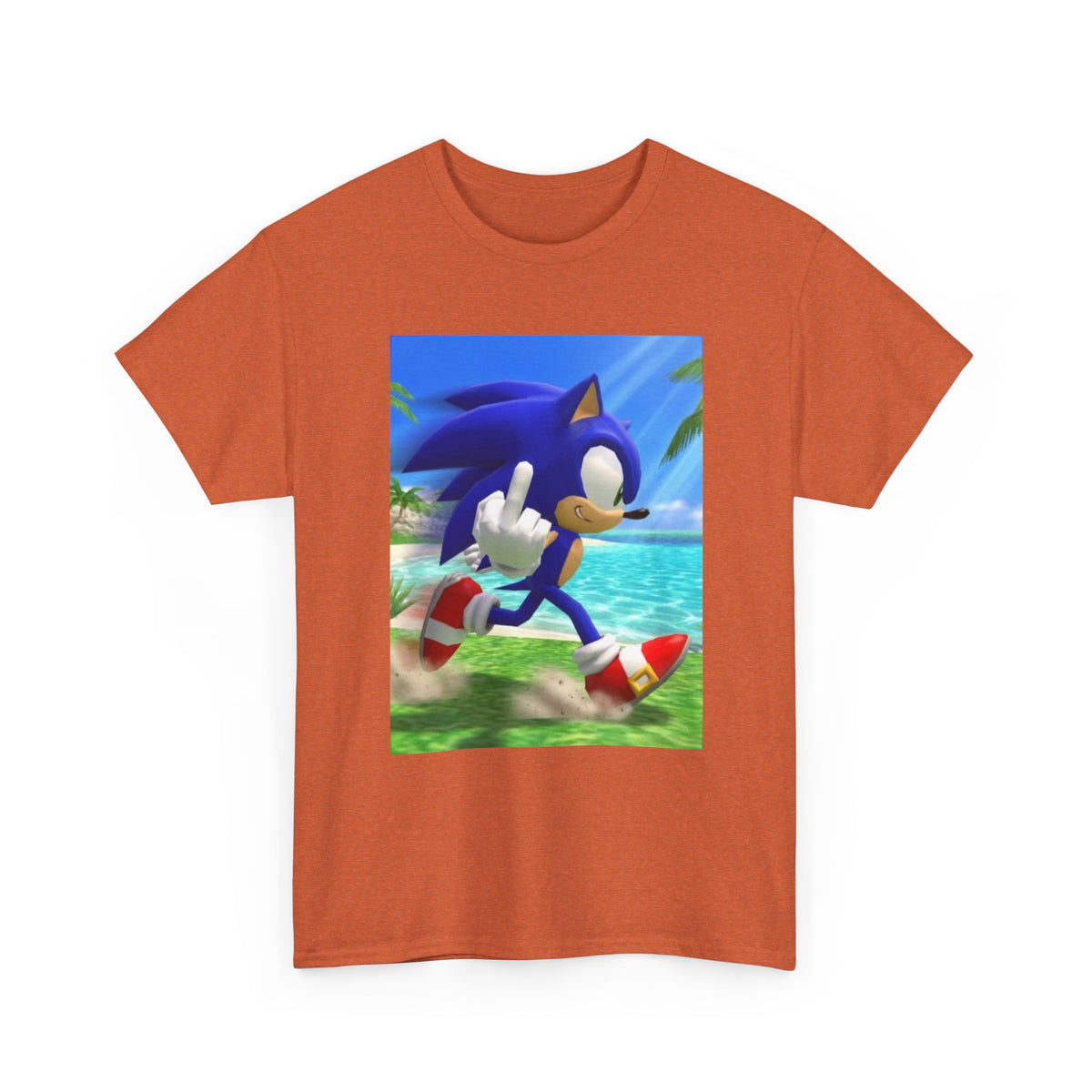 Sonic Flips Off The Beach