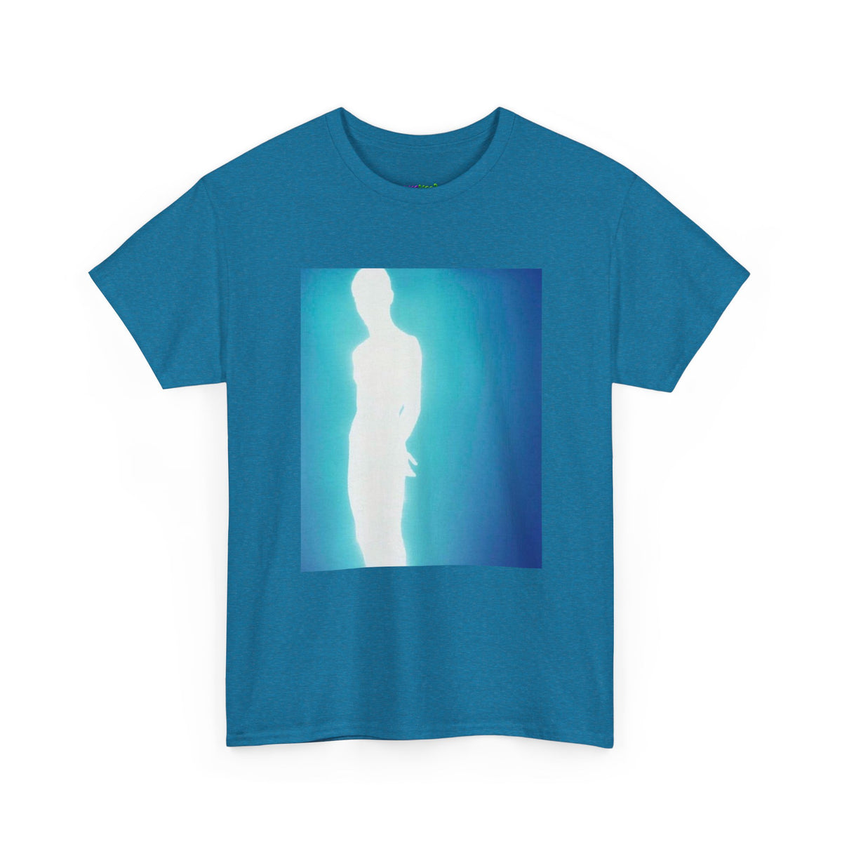 Secret Stash Graphic Tee