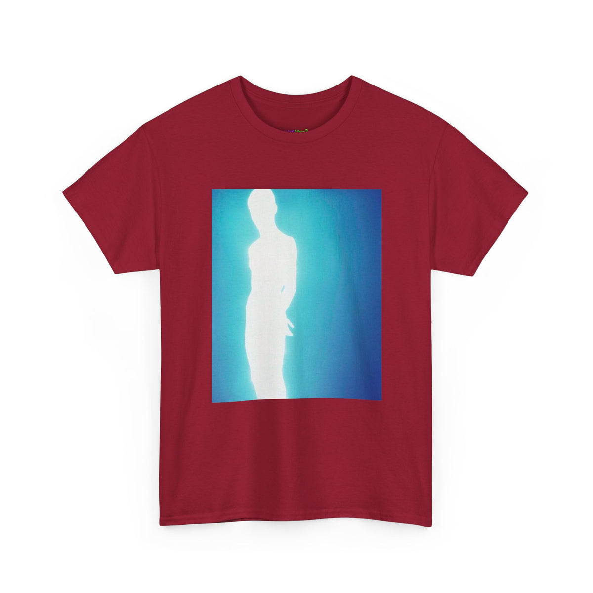 Secret Stash Graphic Tee