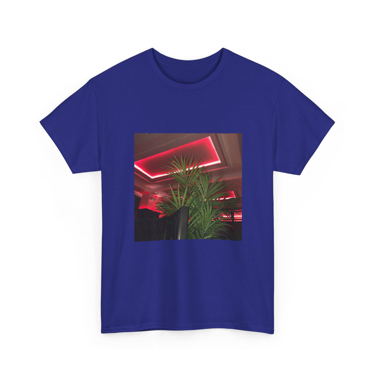 Hidden Echo Graphic Tee