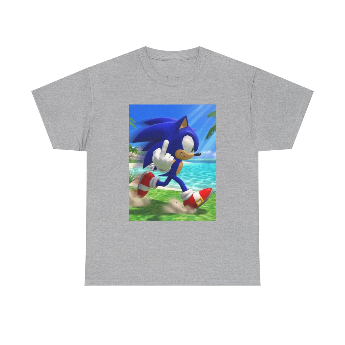 Sonic Flips Off The Beach