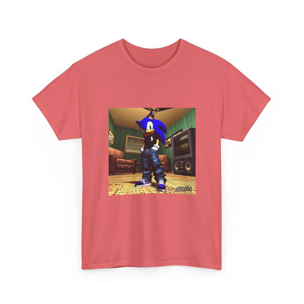 Swagged Out Sonic Chillin' In The Crib
