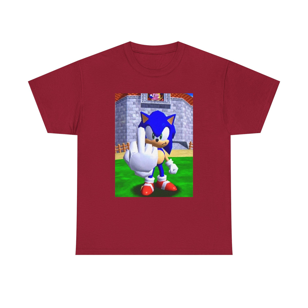 Sonic Flipping Off In The Castle Grounds