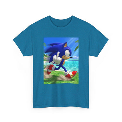 Sonic Flips Off The Beach