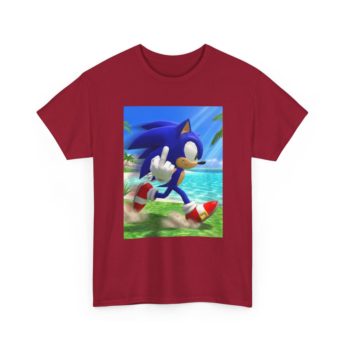 Sonic Flips Off The Beach