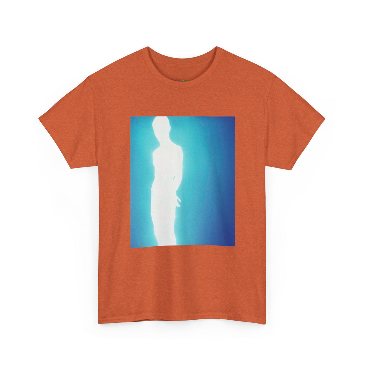 Secret Stash Graphic Tee