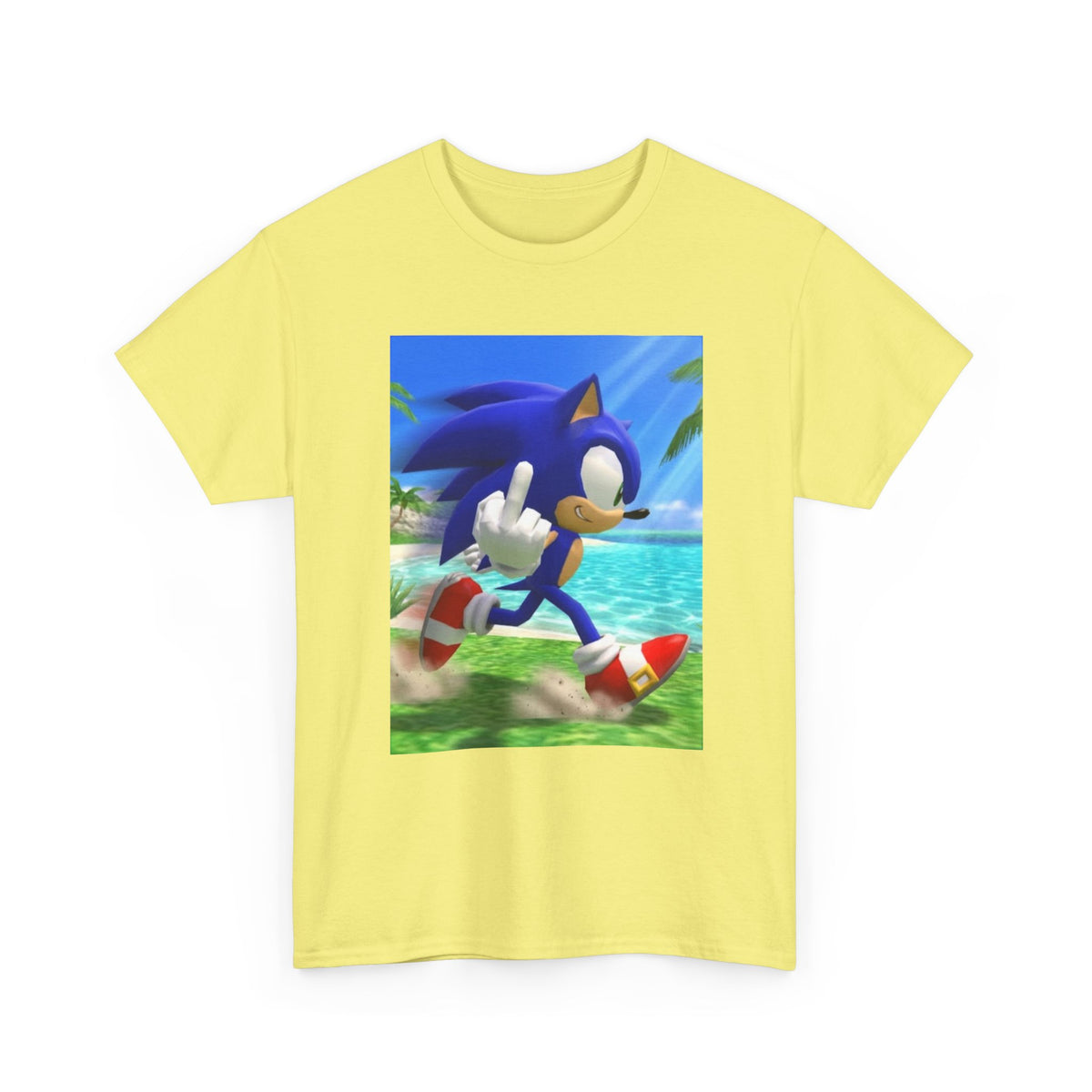 Sonic Flips Off The Beach