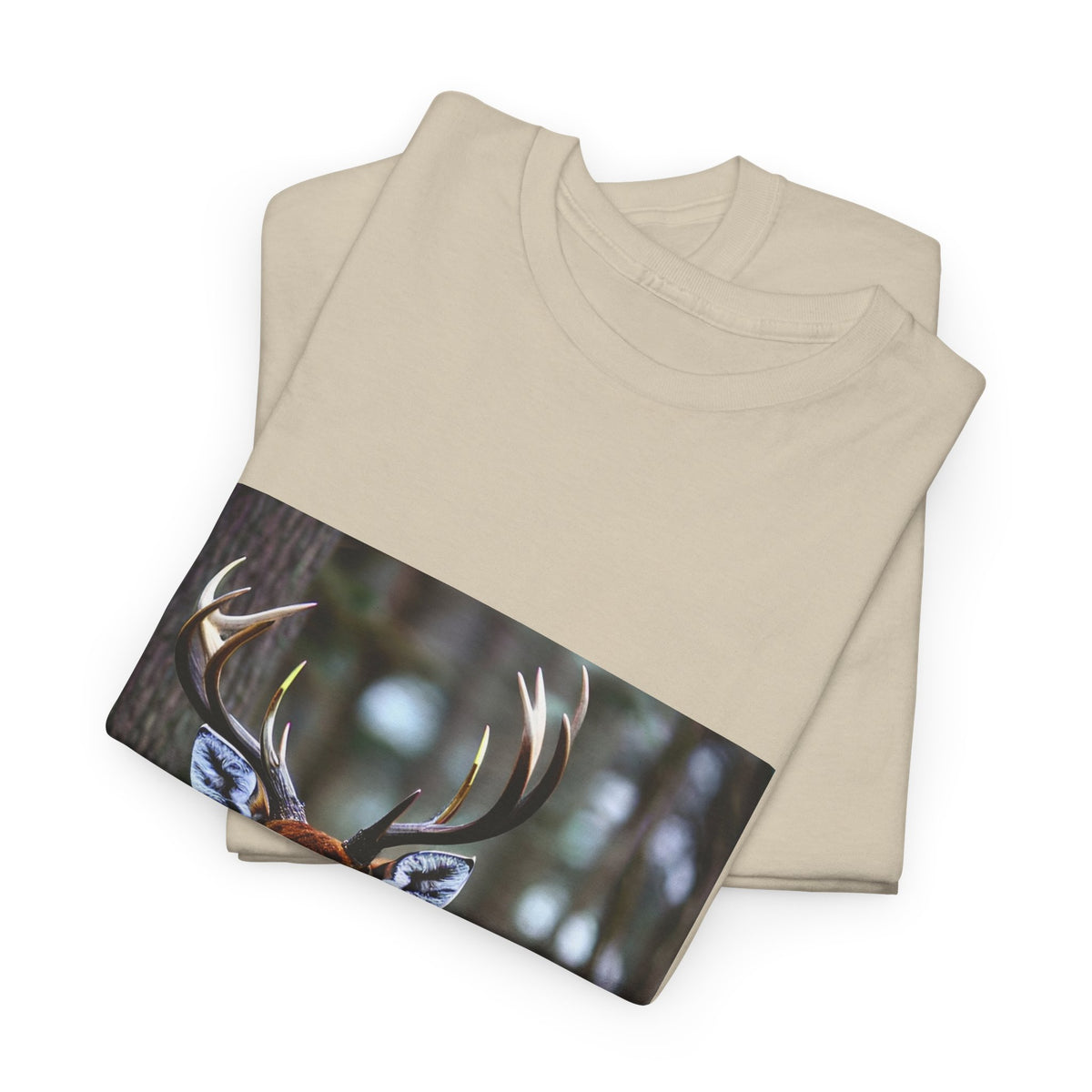 Dacwoo drawings — Elevated State