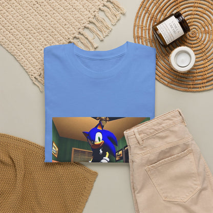 Swagged Out Sonic Chillin' In The Crib