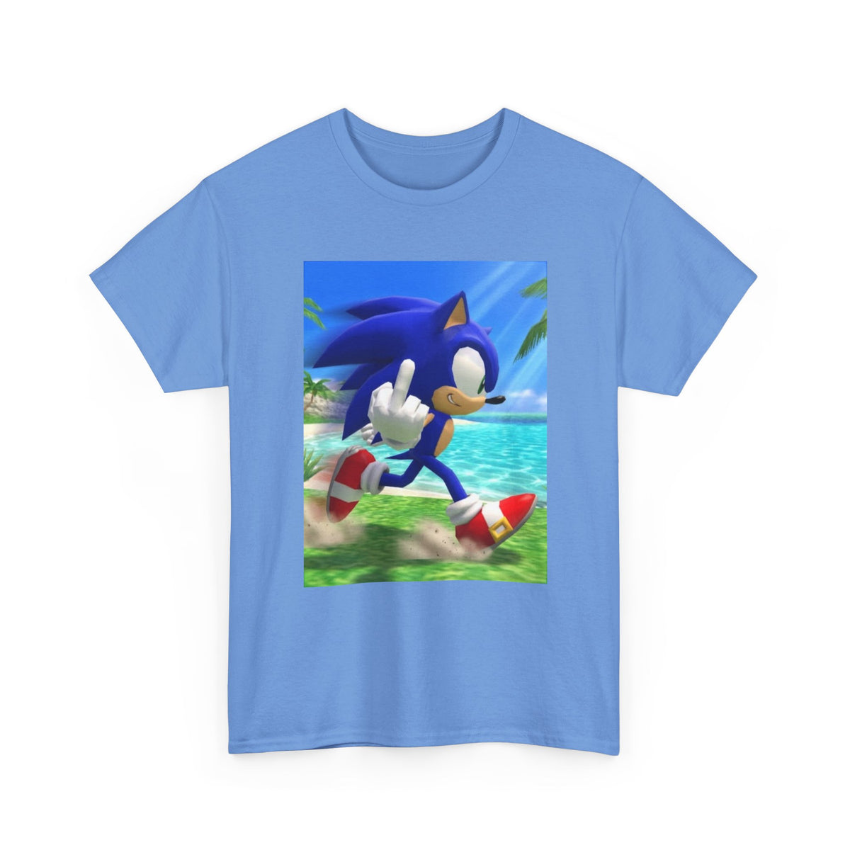 Sonic Flips Off The Beach