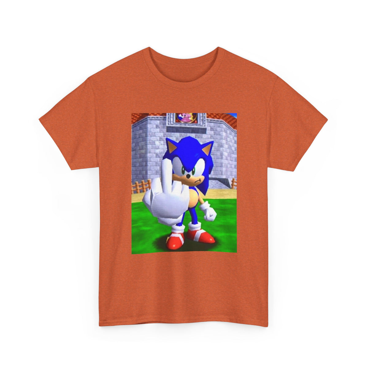 Sonic Flipping Off In The Castle Grounds