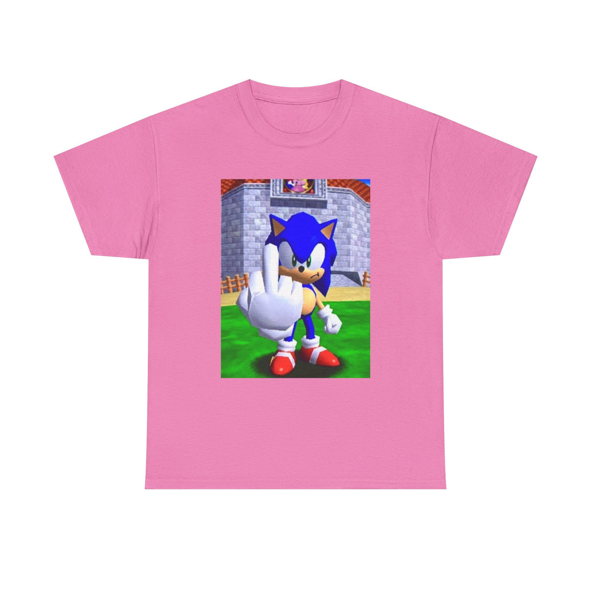 Sonic Flipping Off In The Castle Grounds