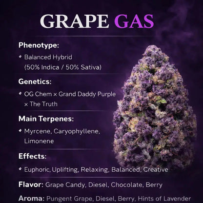 Grape Gas Smalls THCa Flower Ounce