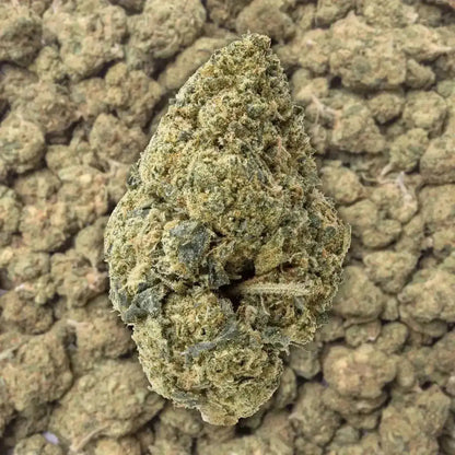 Acapulco Gold THCa Flower
