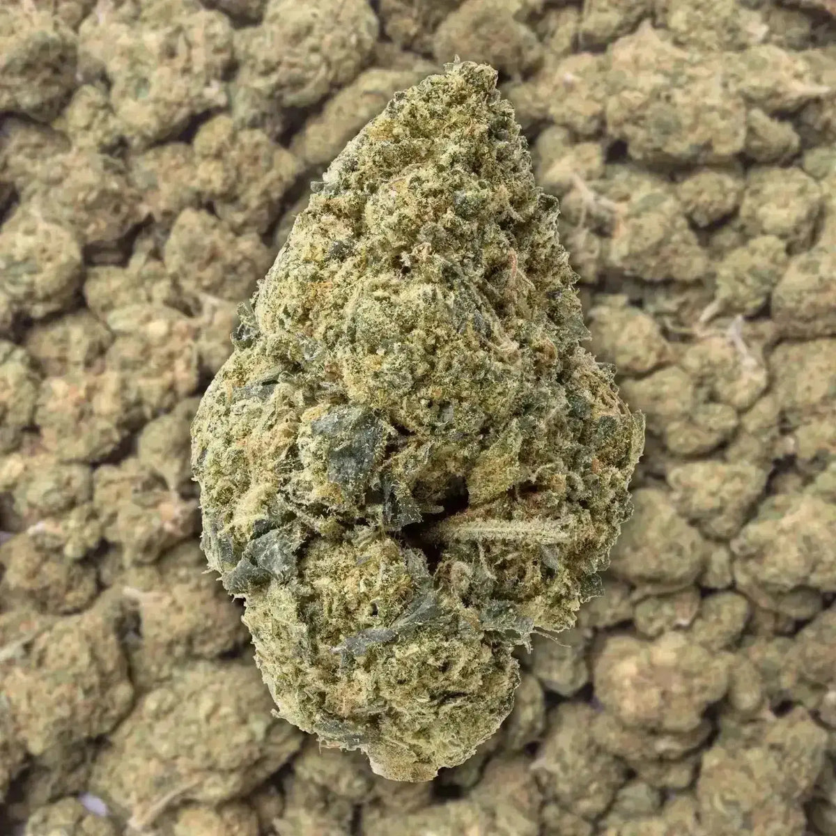 Acapulco Gold THCa Flower Ounce