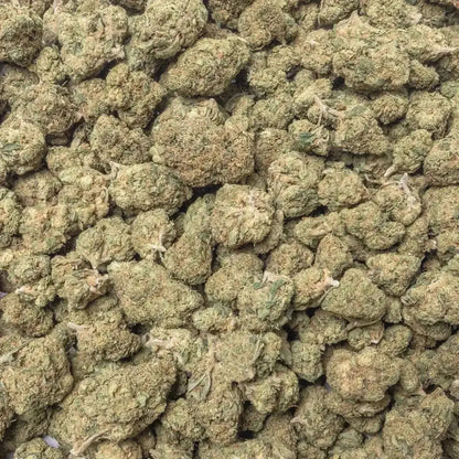 Acapulco Gold THCa Flower