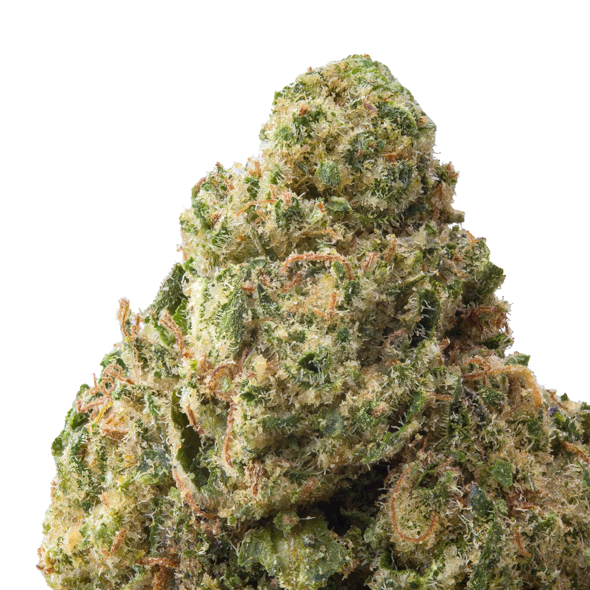 Acapulco Gold THCa Flower