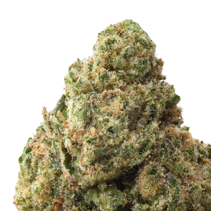 Acapulco Gold THCa Flower