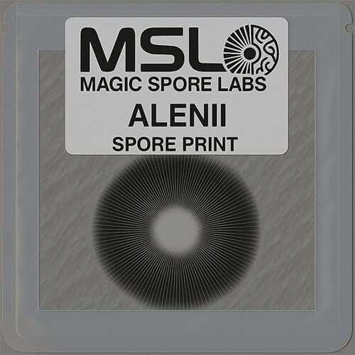 Alenii Mushroom Spore Prints