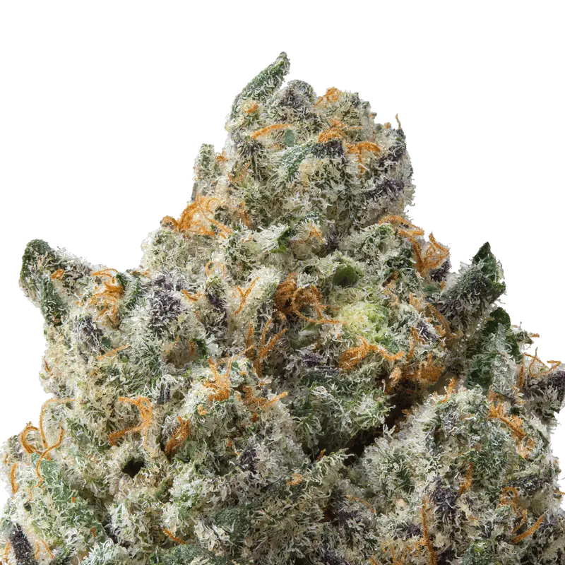 Animal Face THCa Flower