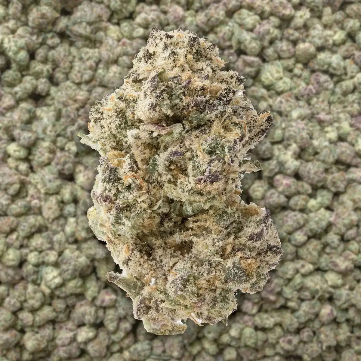 Apple Fritter Exotic Smalls THCa Flower