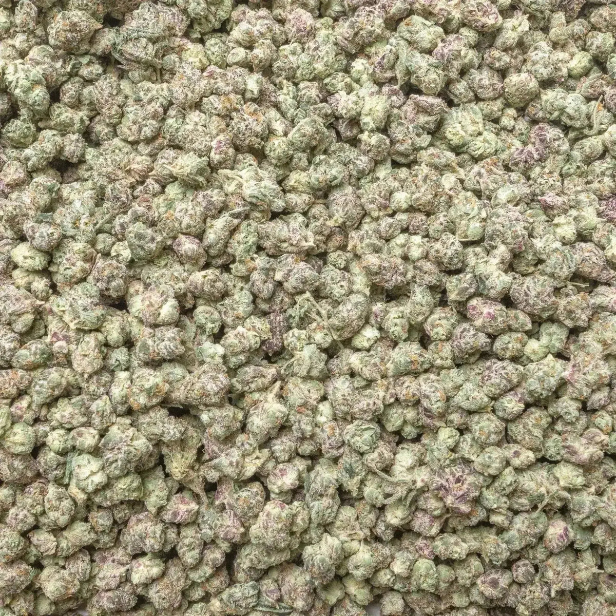 Apple Fritter Exotic Smalls THCa Flower