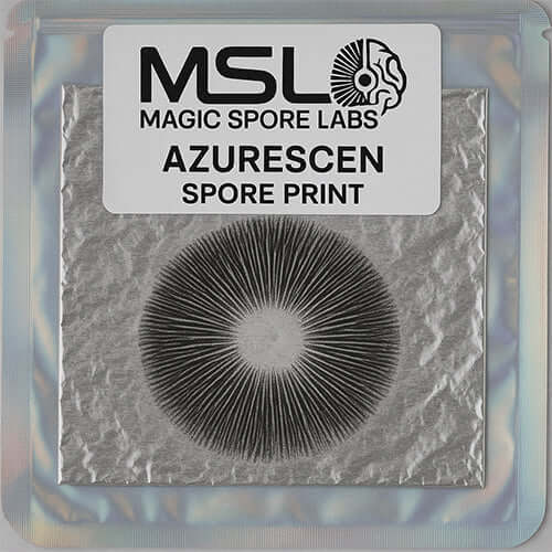 Azurescen Mushroom Spore Print