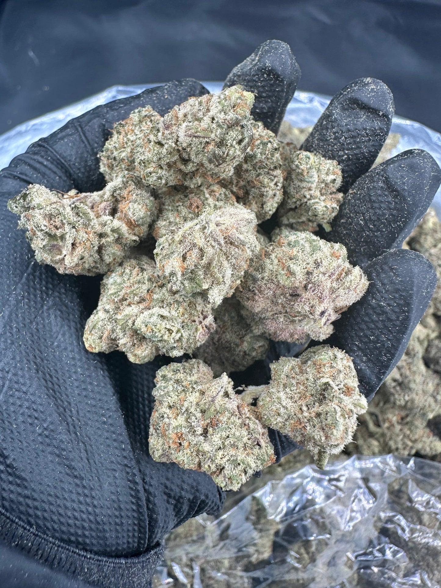 Biscotti THCA Flower (Budget)