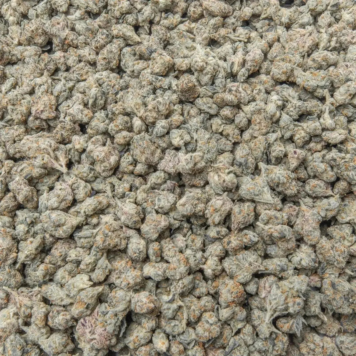 Black Cherry Gelato Smalls THCa Flower Ounce