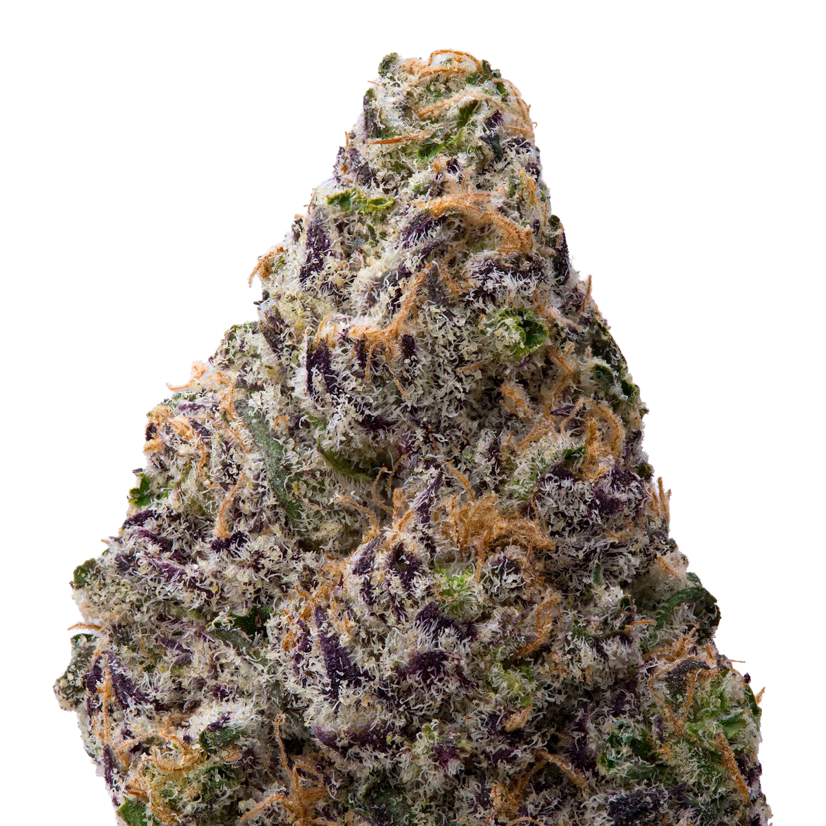 Black Amber THCA Flower