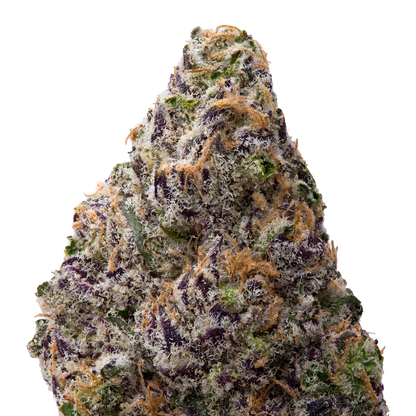 Black Amber THCA Flower