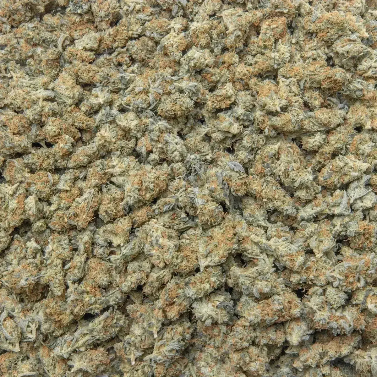 Blue Dream THCa Flower