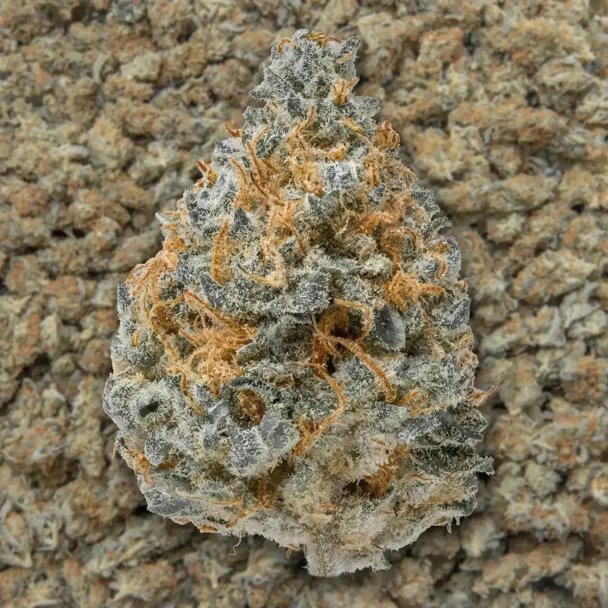 Blue Dream THCa Flower