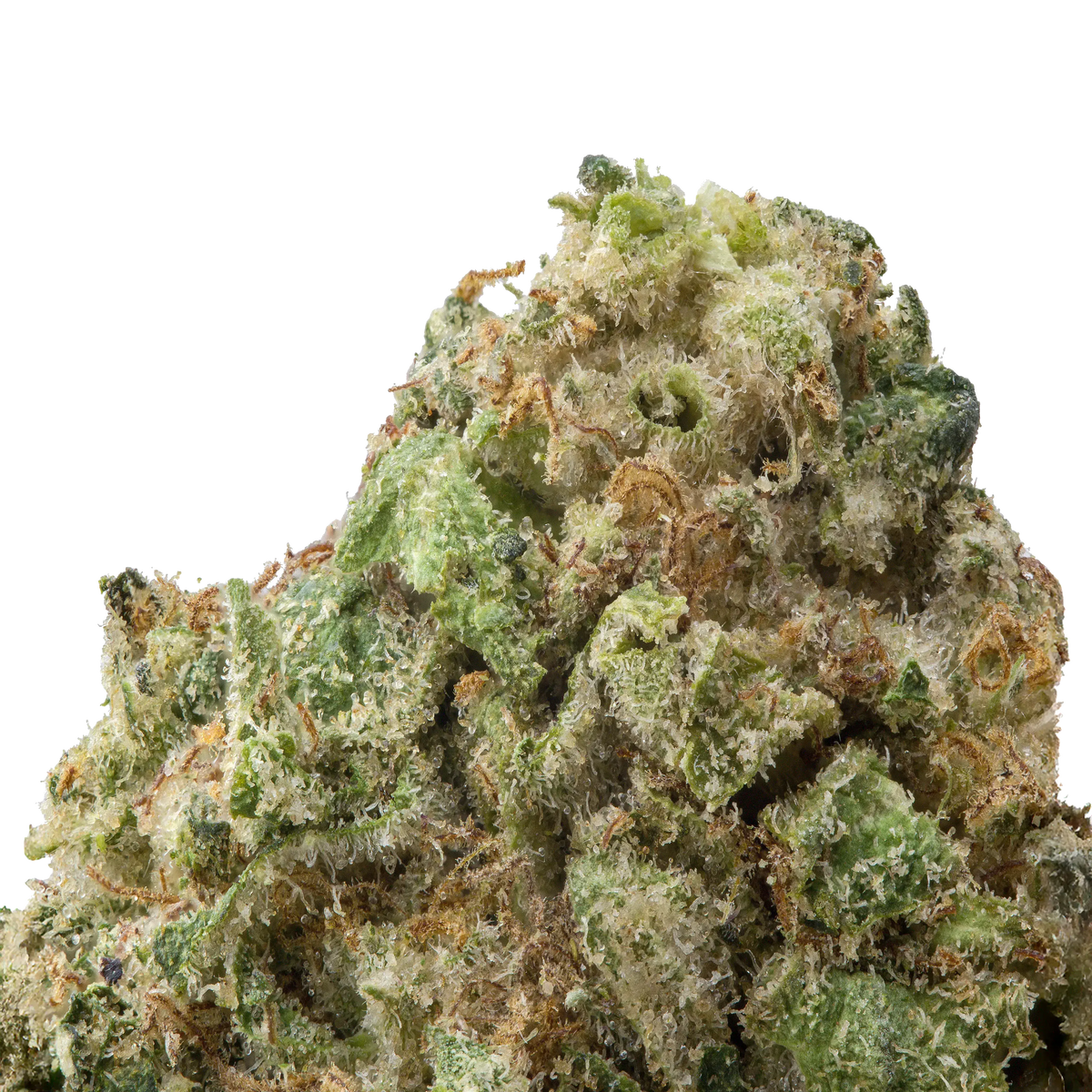 Blue Dream THCa Flower